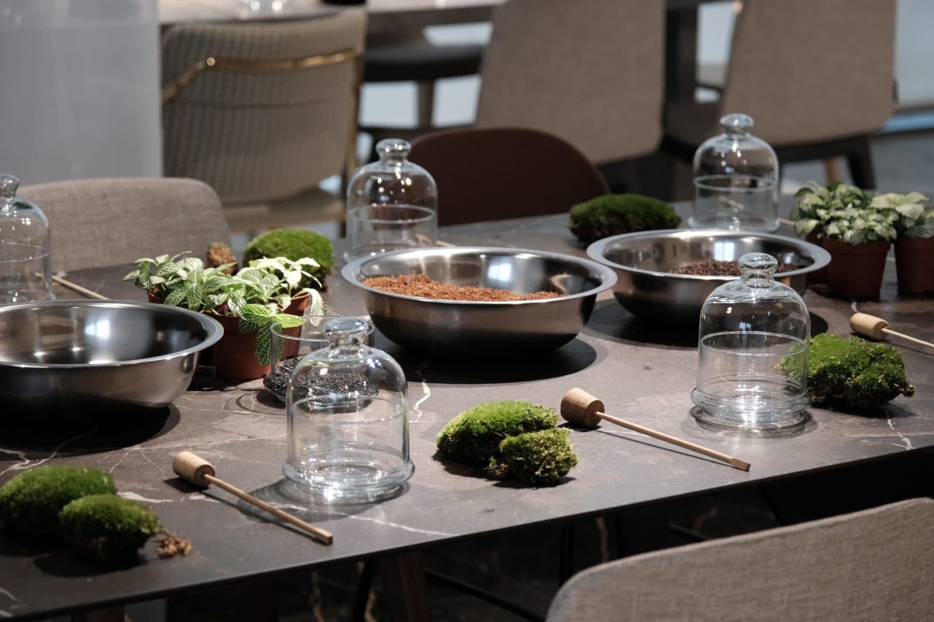Team buildings en Barcelona con plantas para empresas