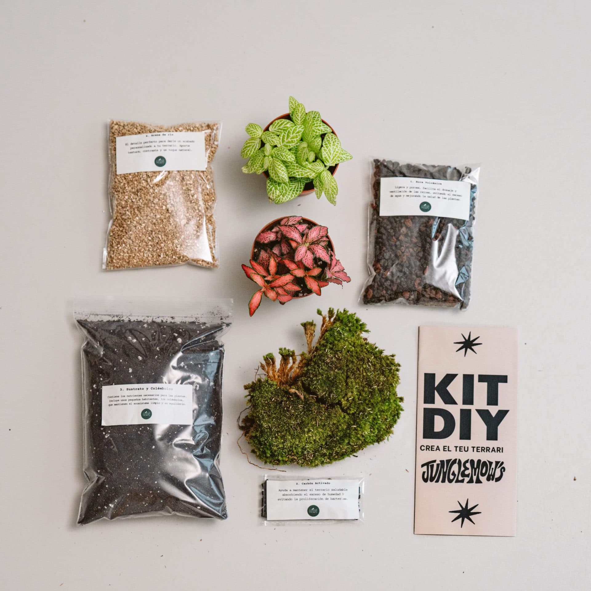 KIT DIY per a Terraris – Sense Recipient