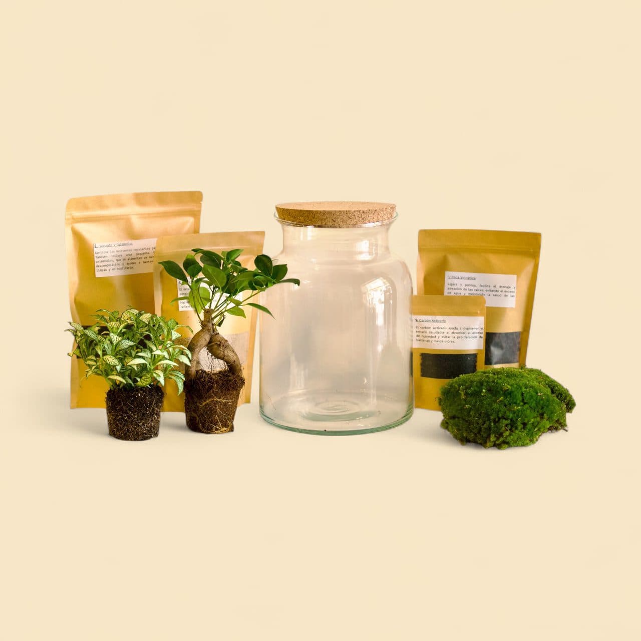 KIT DIY per a Terraris – Recipient de Vidre amb Tap Rústic