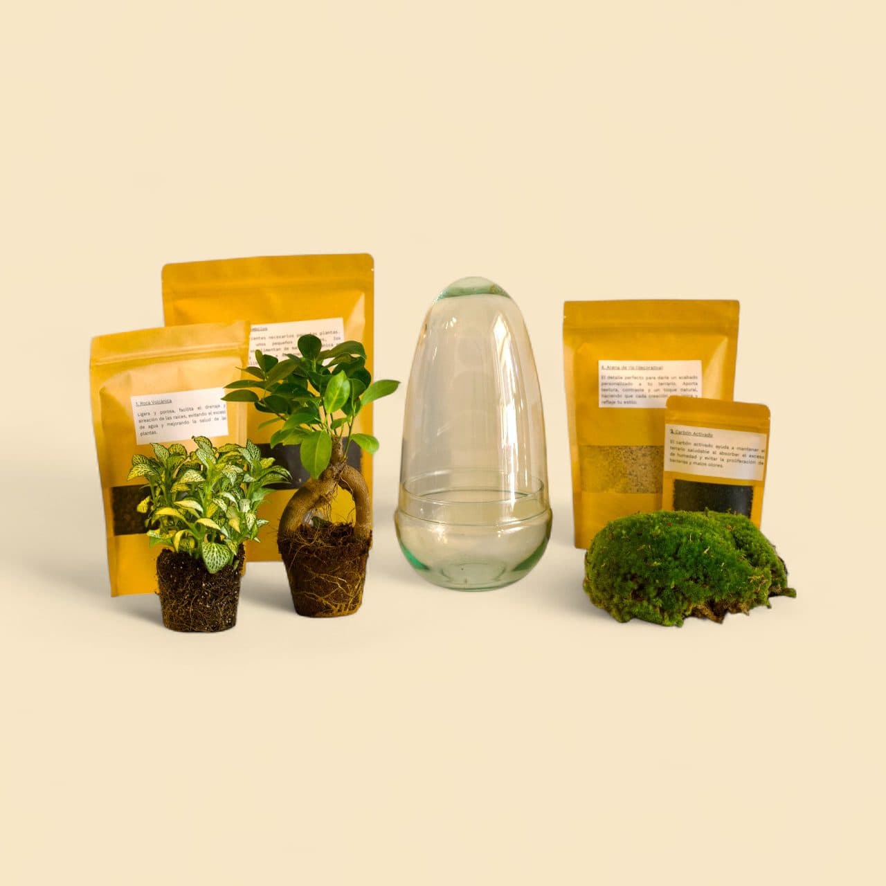 kit do it yourself terrarios
