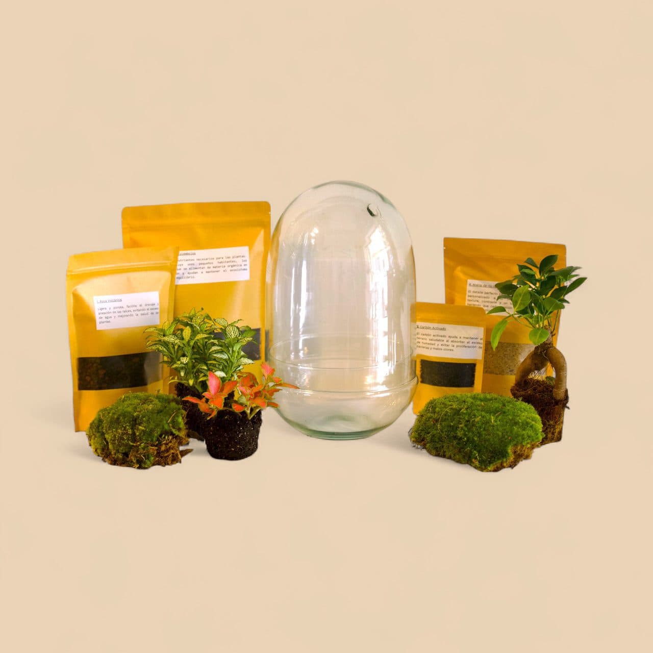 KIT DIY per a Terraris – Cúpula de Vidre Reciclat